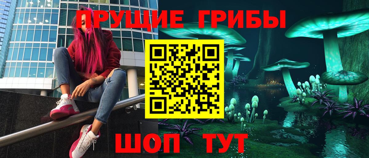 Псилоцибиновые грибы мицелий Лесосибирск