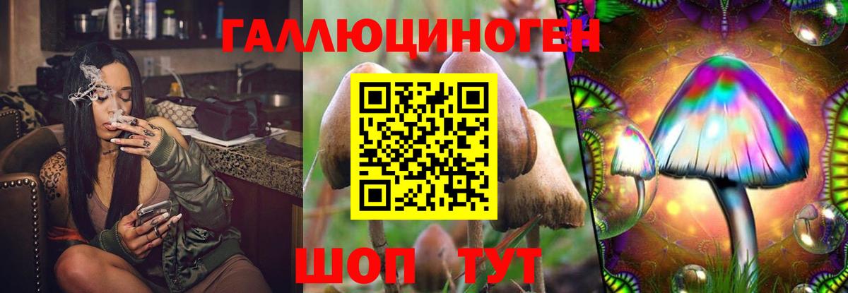 Лесосибирск  Галлюциногенные грибы прущие грибы  Вход с VPN 